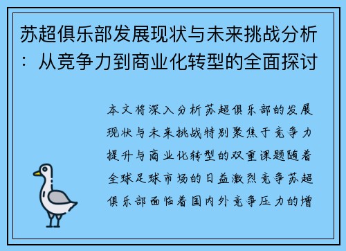 苏超俱乐部发展现状与未来挑战分析：从竞争力到商业化转型的全面探讨