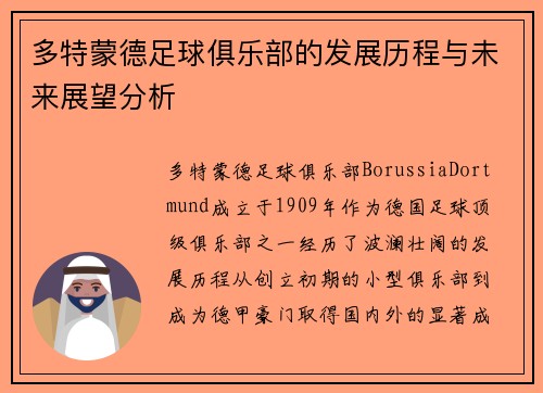 多特蒙德足球俱乐部的发展历程与未来展望分析