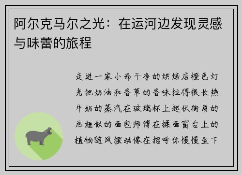 阿尔克马尔之光：在运河边发现灵感与味蕾的旅程